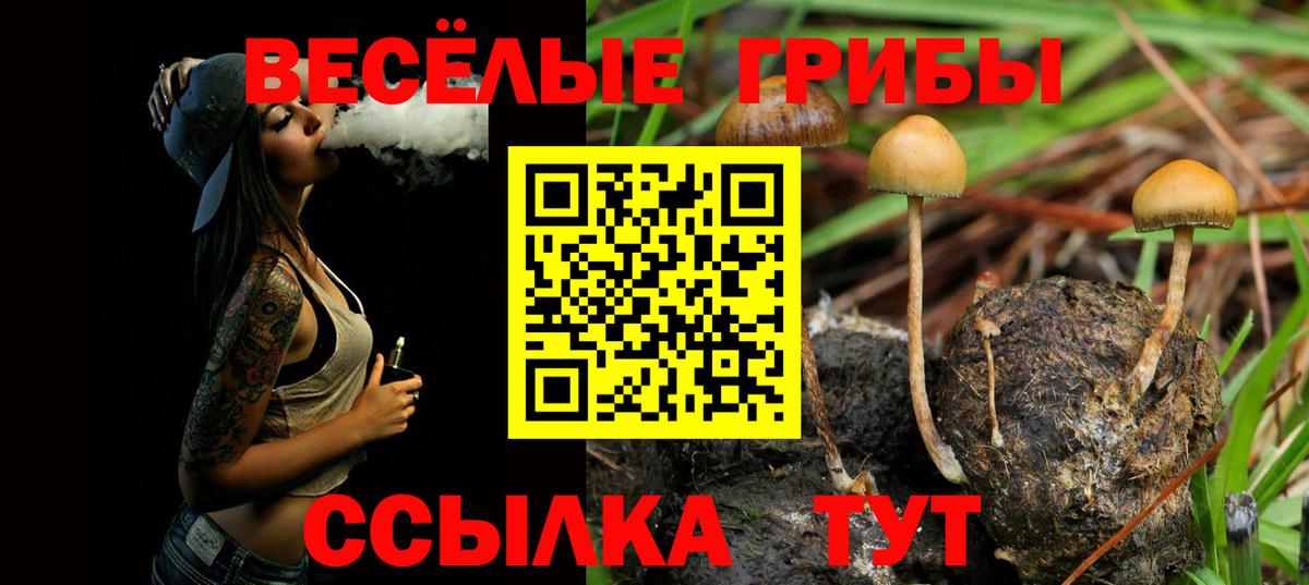 Видное  Галлюциногенные грибы Psilocybe  Псилоцибиновые грибы MAGIC MUSHROOMS  как найти закладки  Вход с VPN 